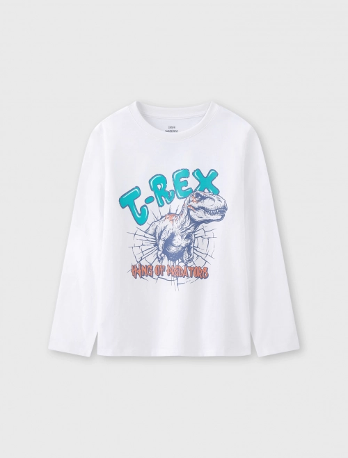 Áo phông bé trai dài tay có hình in | OEKOTEX
