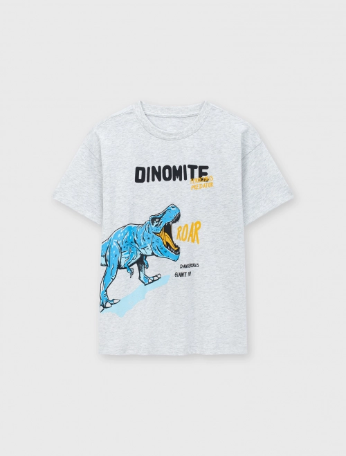 Áo phông bé trai Cotton USA  có hình in | OEKO-TEX