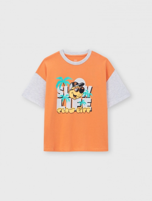 Áo phông bé trai Cotton USA  có hình in | OEKO-TEX