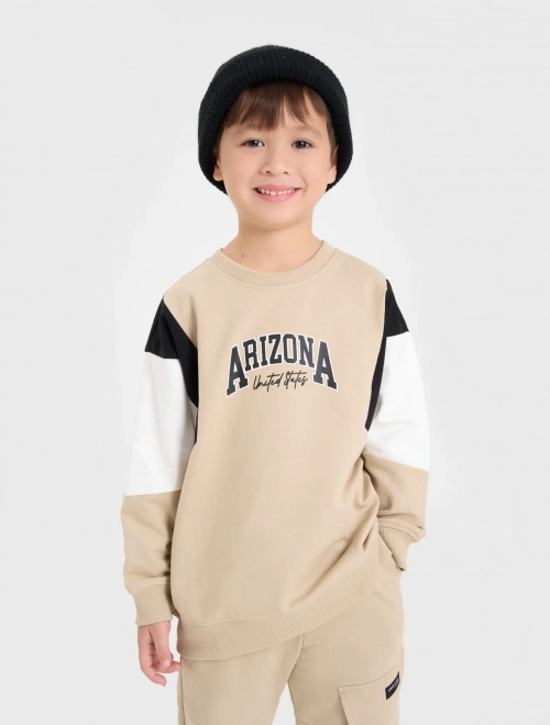 Áo nỉ bé trai có hình in