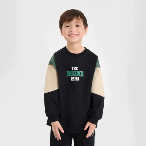 Áo nỉ bé trai có hình in