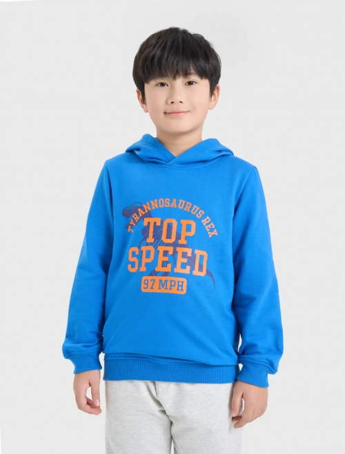 Áo nỉ có mũ bé trai có hình in