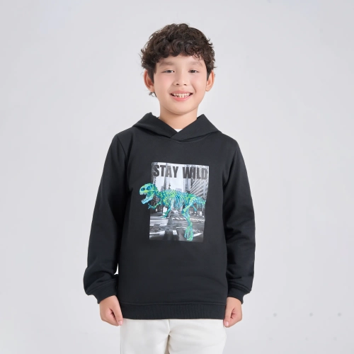 Áo nỉ có mũ bé trai có hình in