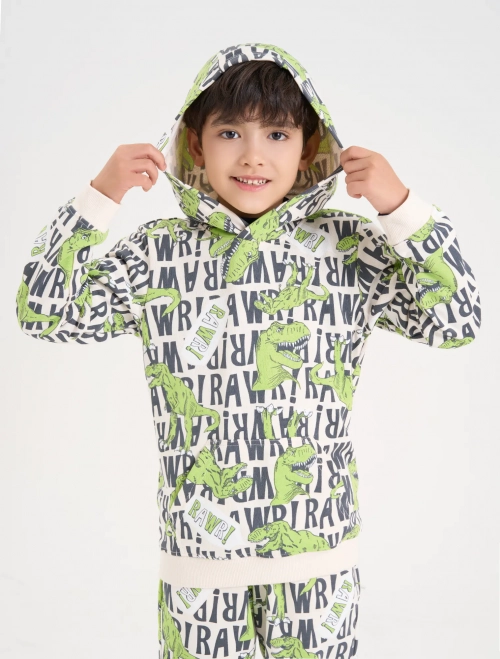 Áo nỉ có mũ bé trai hoạ tiết