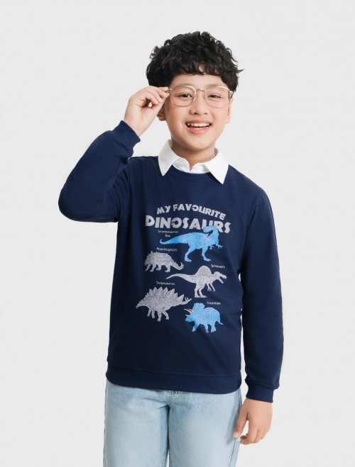 Áo nỉ bé trai có hình in