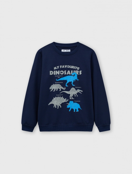 Áo nỉ bé trai có hình in