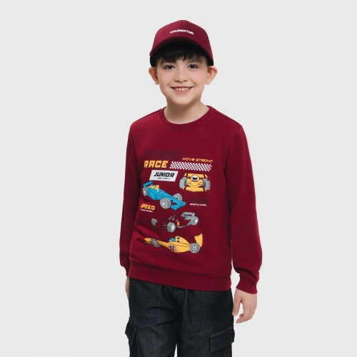 Áo nỉ bé trai có hình in