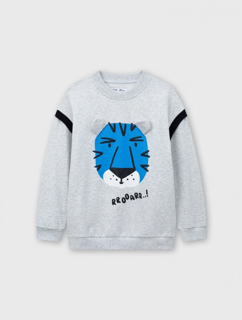 Áo nỉ bé trai cào lông, có hình in