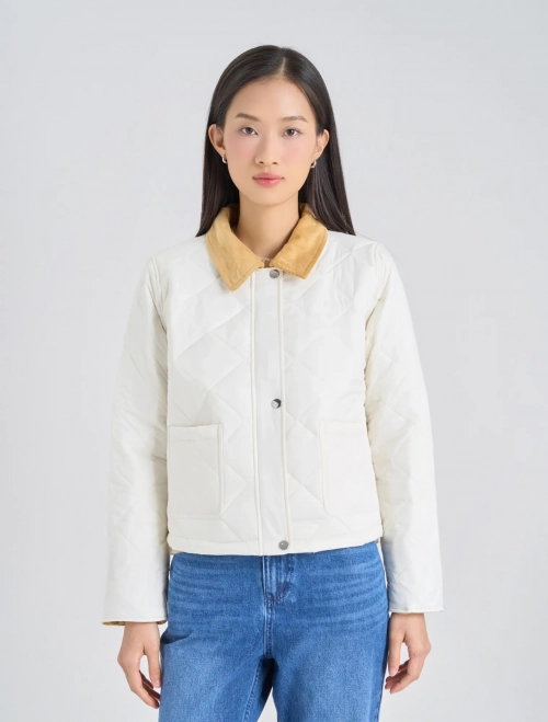 Áo khoác chần bông kéo khóa, lá cổ và tay áo phối nhung tăm