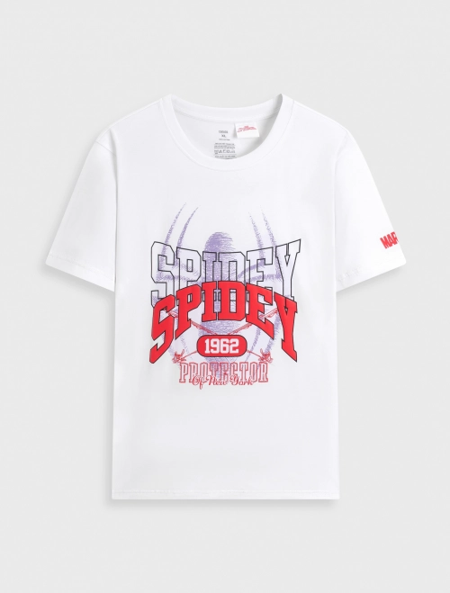 Áo phông nam cotton USA dáng rộng