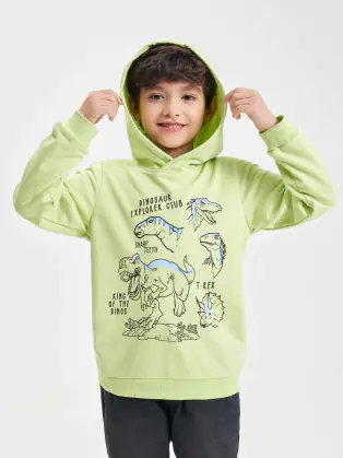 Áo hoodie