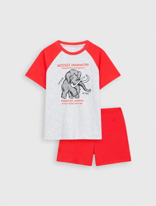 Bộ mặc nhà bé trai cotton cộc tay vai raglan quần soóc có hình in