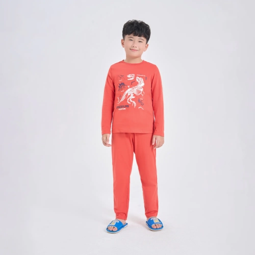 Bộ mặc nhà bé trai dài tay quần dài có hình in