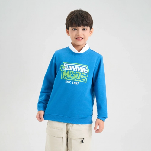 Áo nỉ bé trai cotton USA có hình in