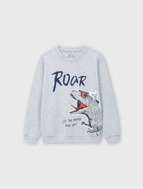 Áo nỉ bé trai có hình in